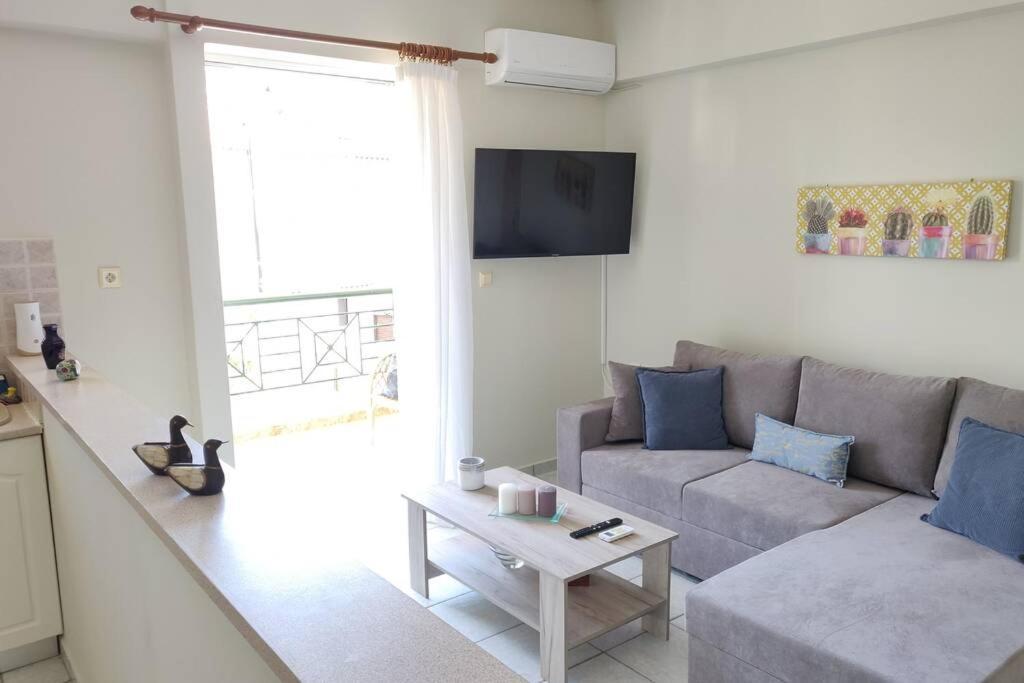 A Cozy And Warm Place At The Of Gribovo Apartment